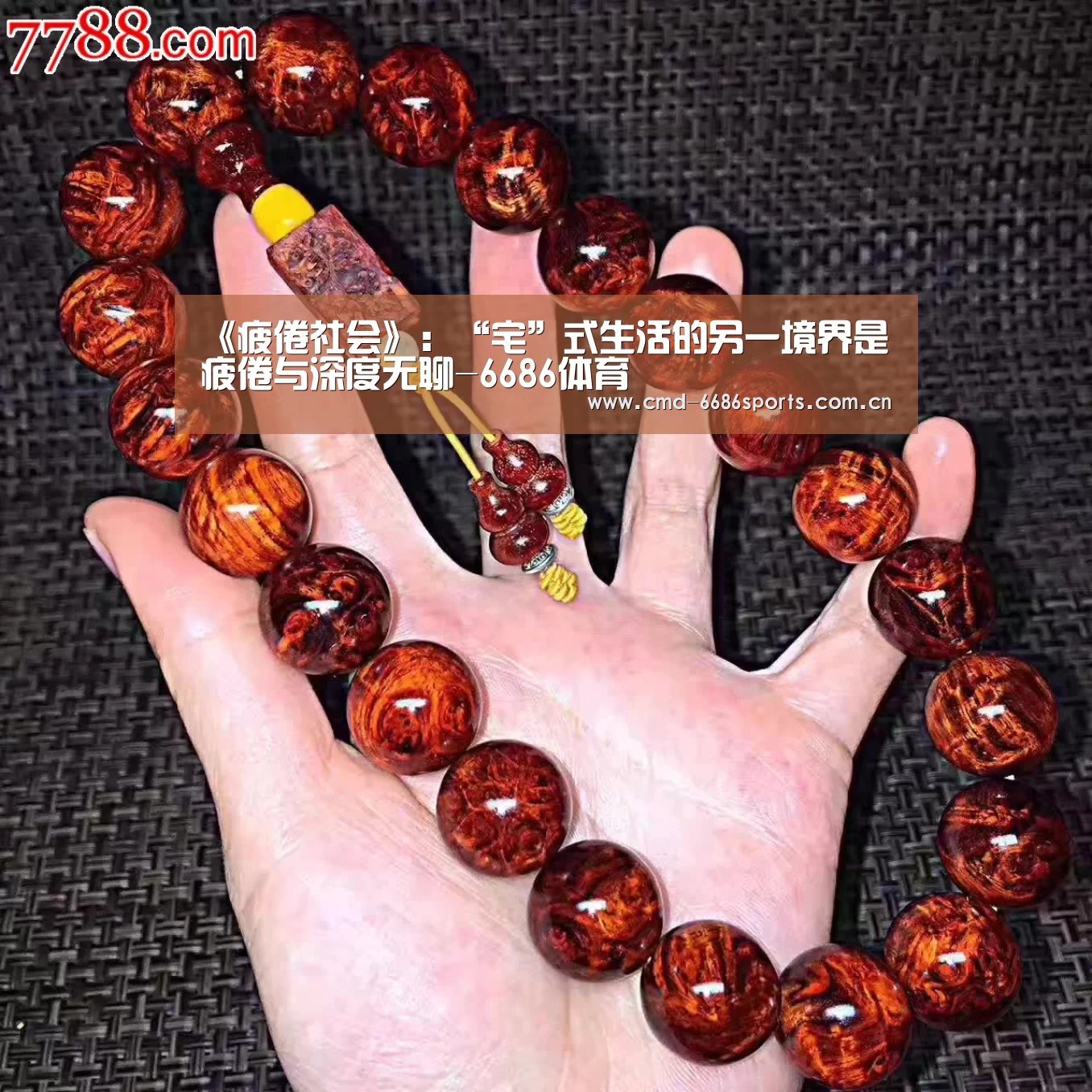 6686体育